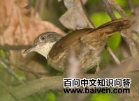 �̱�ʰҶȸ��ͼƬ