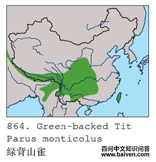 �̱�ɽȸ�������ֲ�ͼ