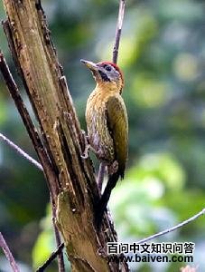 �̱���ֺ��ľ��