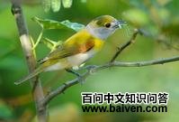 �̱�������l