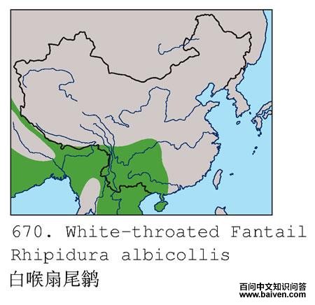 �׺���β�l�������ֲ�ͼ