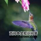 ��ӷ����ͼƬ