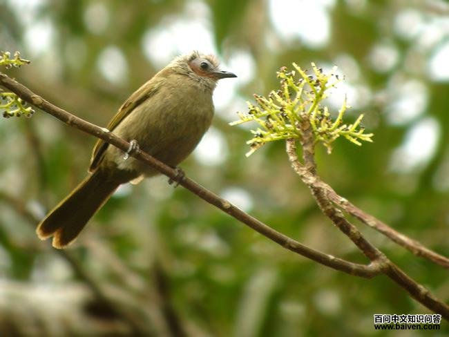 �����ǵ�ͼƬ