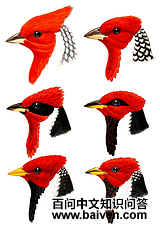 �����c��