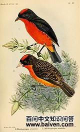 ����ȸ��