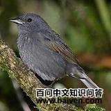 ����ȸ�c��