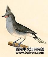 �ڹ�ȸ�c��