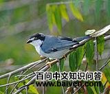 �ڶ�����ȸ��