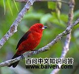 ��������ȸ��