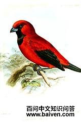 �������ȸ��