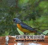 �������ȸ��