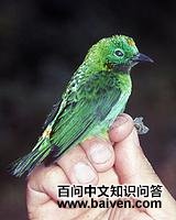 ��������ȸ��