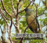 ��������ȸ��