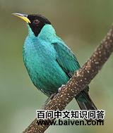 ������ȸ��