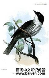 �ڱ���ȸ��