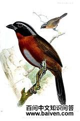 ������ȸ��