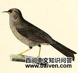 ϸ��ȸ�c��