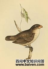 ��������˹��ȸ��