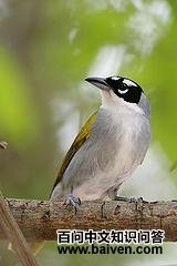 �������ȸ��