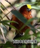 �޶�����ȸ��