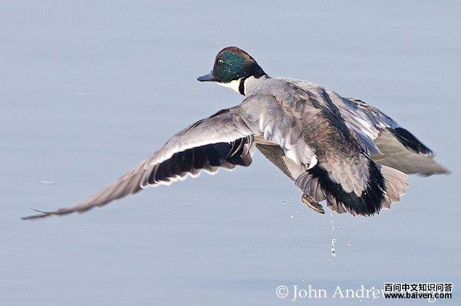 ����Ѽ���������ͼ