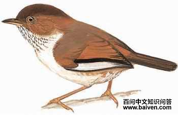 ·��ȸ�̣���̬����ͼ