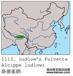 ·��ȸ�̣������ֲ�ͼ