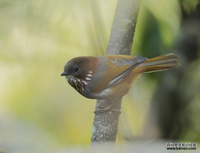 ·��ȸ�̣�����ӡ�ȣ�