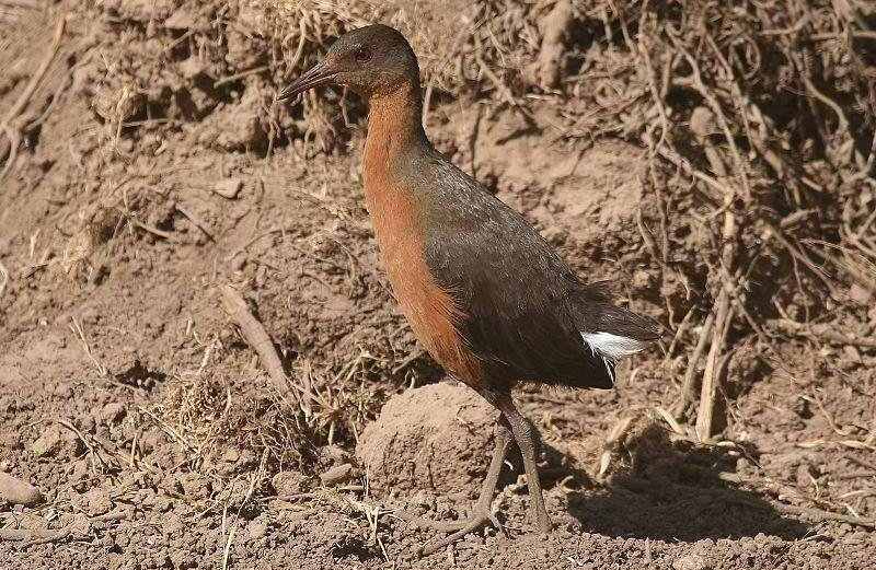 ³����������ͼƬ