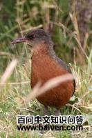 ³��������