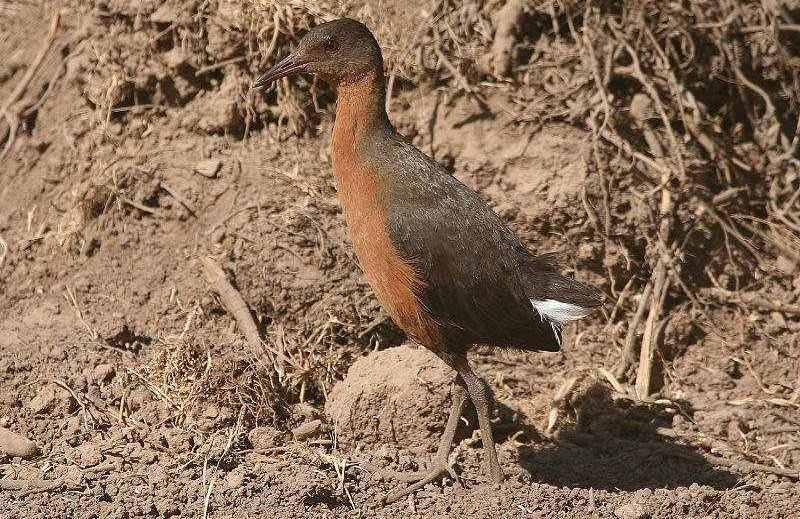 ³��������ͼƬ