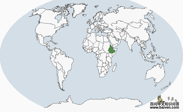 ³������