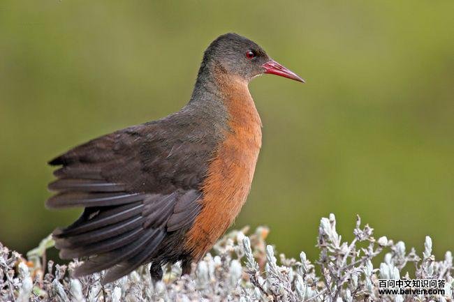 ³������