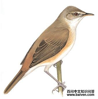 «ݺ����̬����ͼ