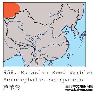 «ݺ�������ֲ�ͼ