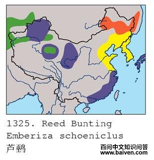 «�c�������ֲ�ͼ