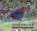 ¬������