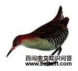 �µ�����