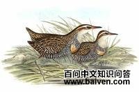 ¬������