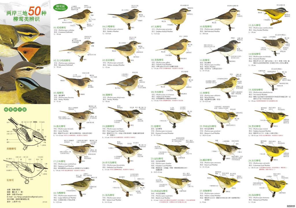 ��ݺ�ǿƵ�ͼƬ