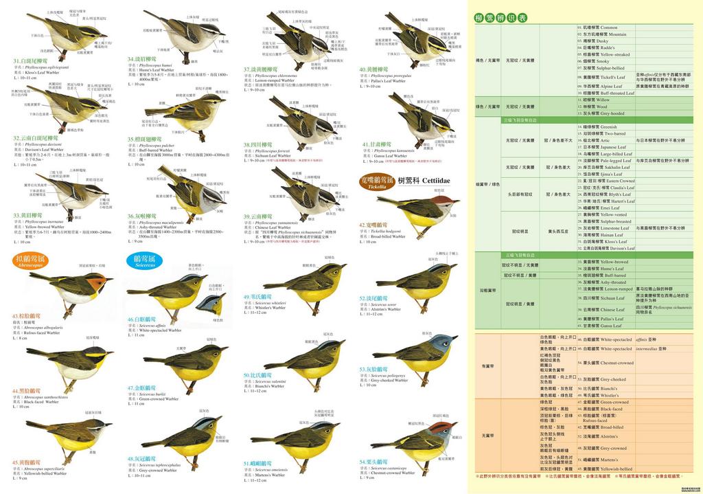 ��������50����ݺ������ı�ʶͼ��2��