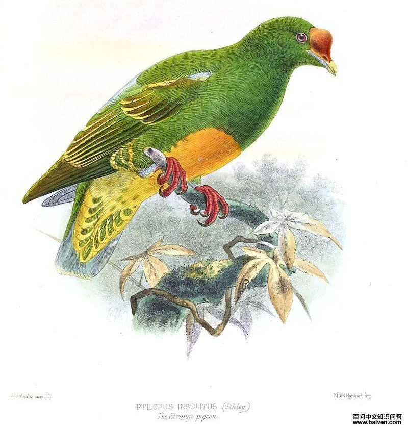 ���ǹ���ͼƬ