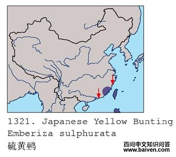 ����c�������ֲ�ͼ