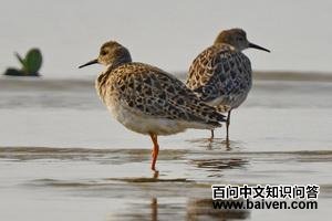 �����ֵ�ͼƬ