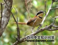 �����ش���