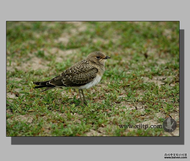 �����a������