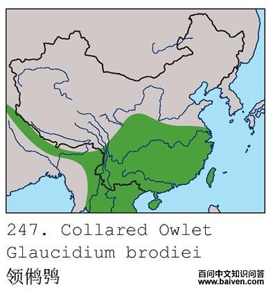 ����m�����ֲ�ͼ