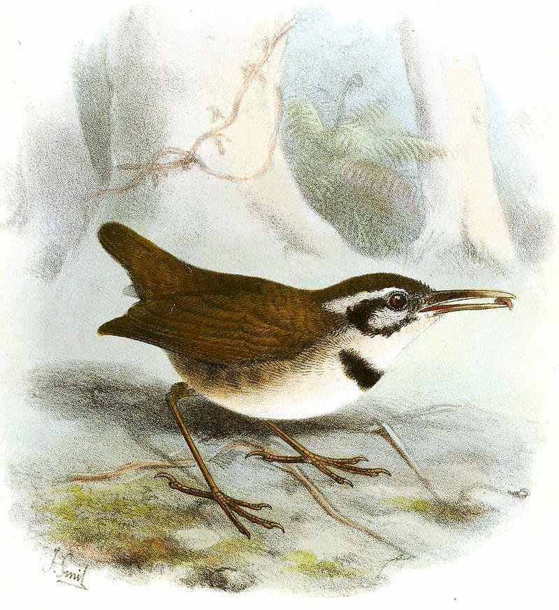 ���ݺ��ͼƬ