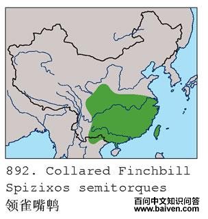 ��ȸ���ǵ����ֲ�ͼ