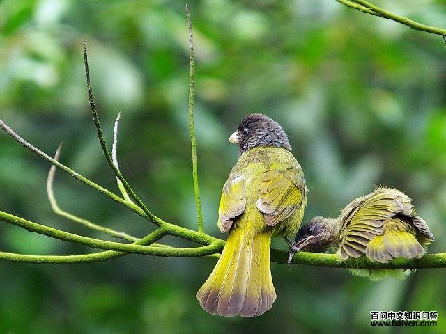 ��ȸ����